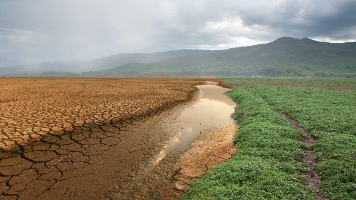 Impactos da crise climática até 2050, na América Latina, representam perdas econômicas e necessidade de adaptação personalizada - Fitec Tec News