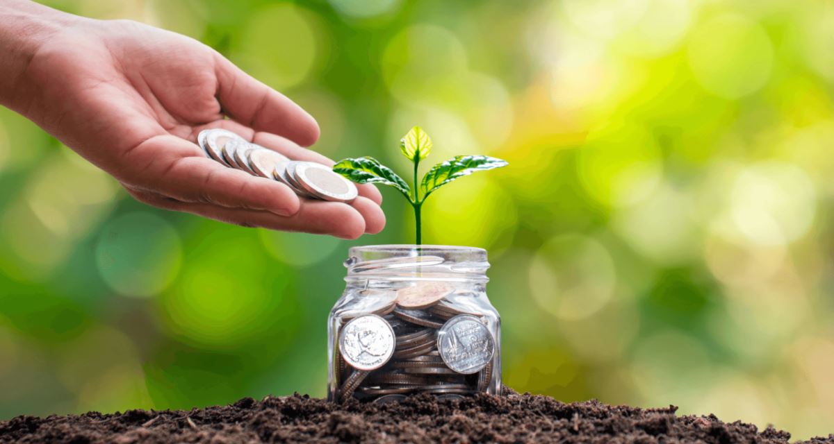 Valorizando o verde: o potencial dos ativos ambientais no setor financeiro