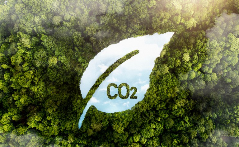 Entenda os Créditos de Carbono da origem ao impacto no desenvolvimento econômico e sustentável - Fitec Tec News