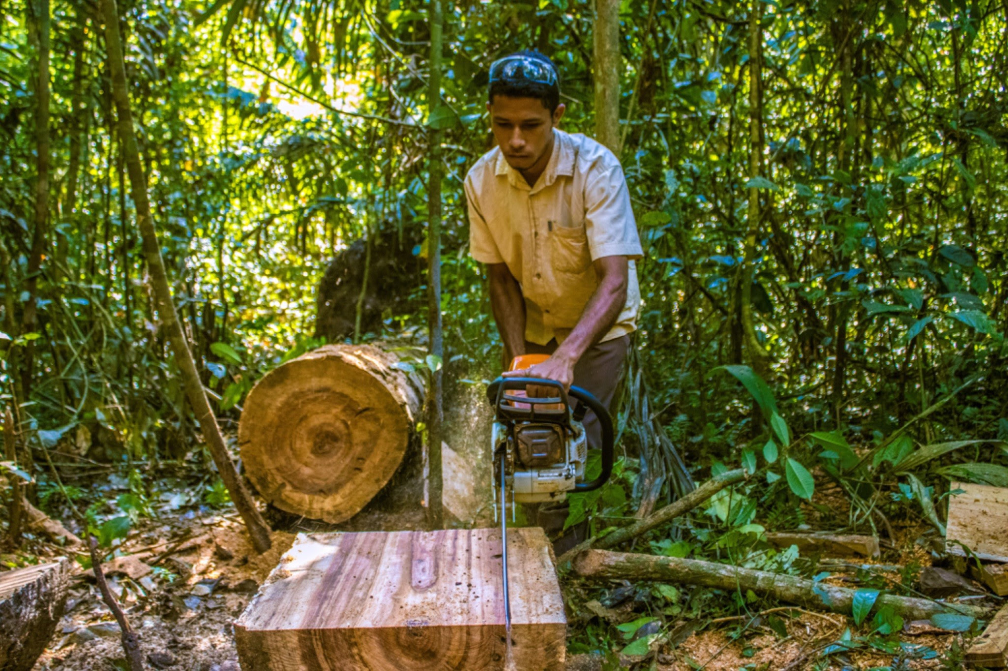 Projetos sustentáveis transformam resíduos florestais em itens de movelaria