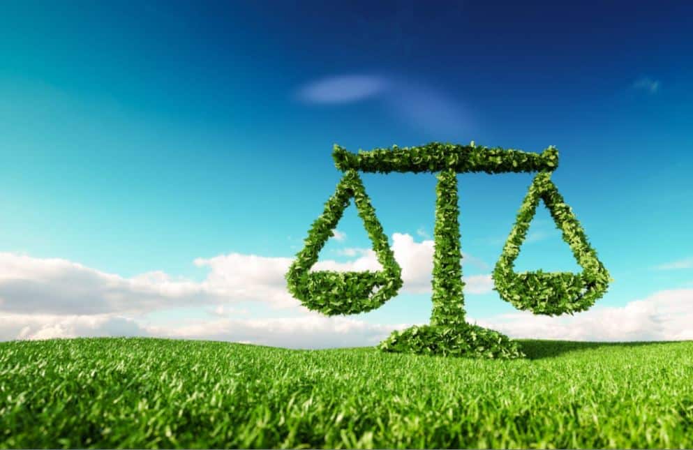 Legislação ambiental: o que mudou e o que ainda precisa mudar