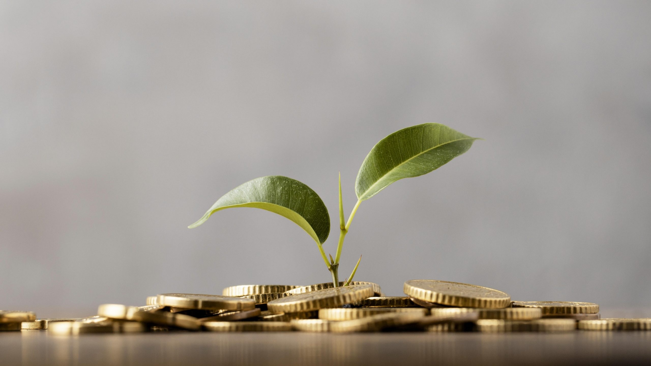 ODS ONU cobra reforma do sistema financeiro para alcançar sustentabilidade - Fitec Tec News