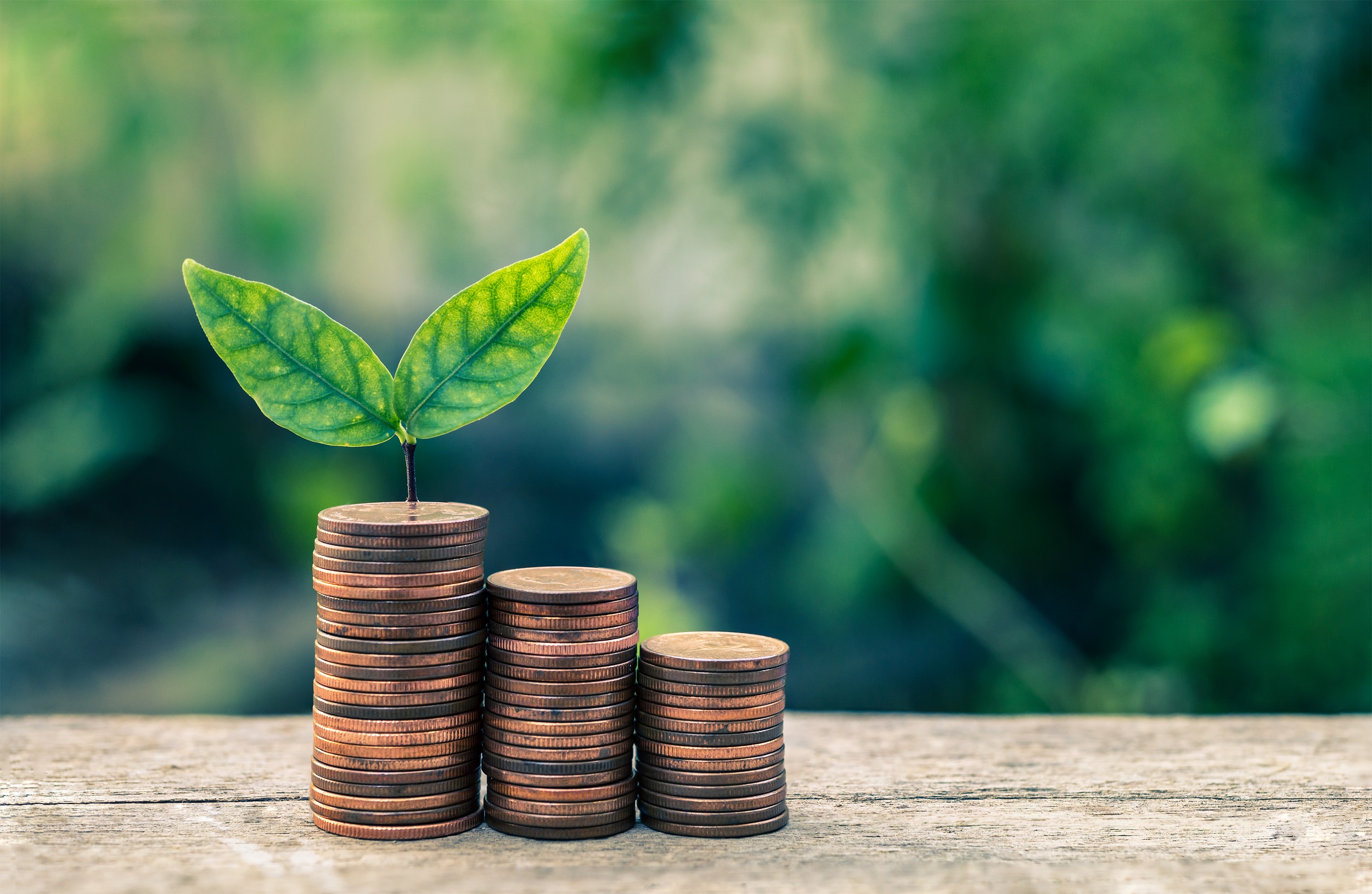 Tax ESG especialistas destacam como reforma tributária pode envolver o ESG - Fitec Tec News