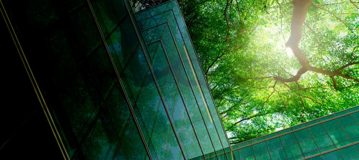 Calculadora foca no ESG e colabora para a compensação de carbono empresarial