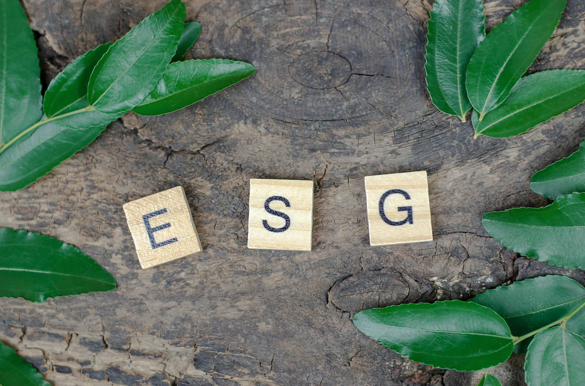 Pesquisa mostra que 71% das empresas brasileiras de médio porte investirão na agenda ESG