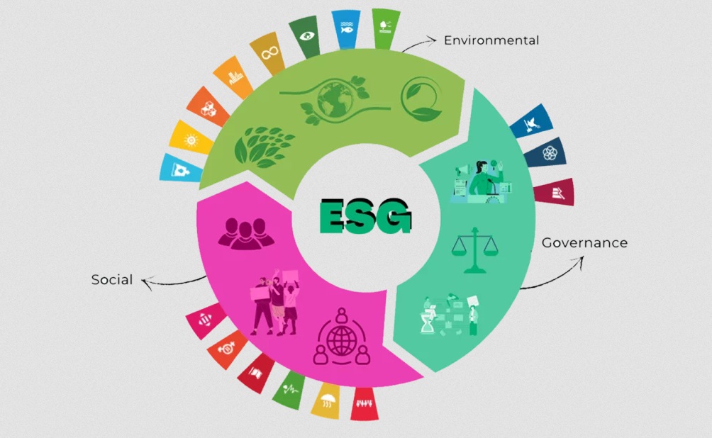 78% das empresas brasileiras pretendem aumentar investimentos em ESG, apontam levantamentos