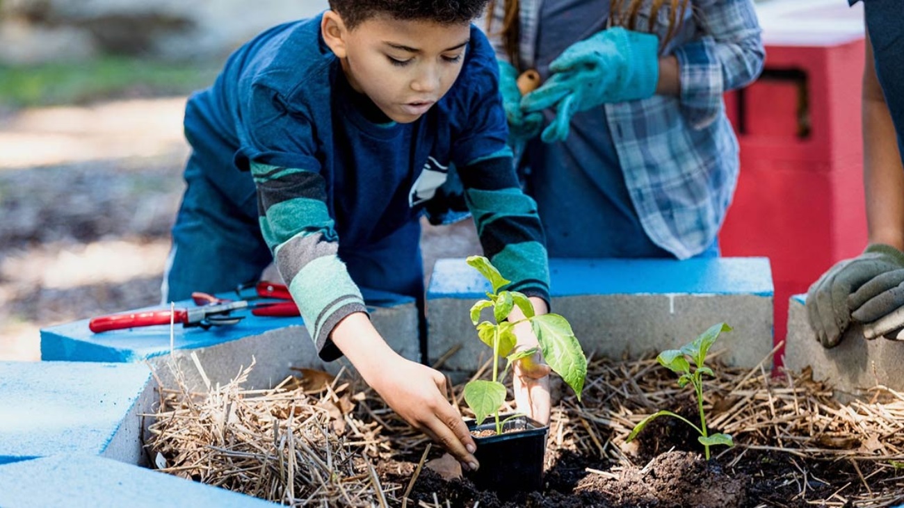 Escolas sustentáveis destacam projetos de liderança feminina e educação ambiental