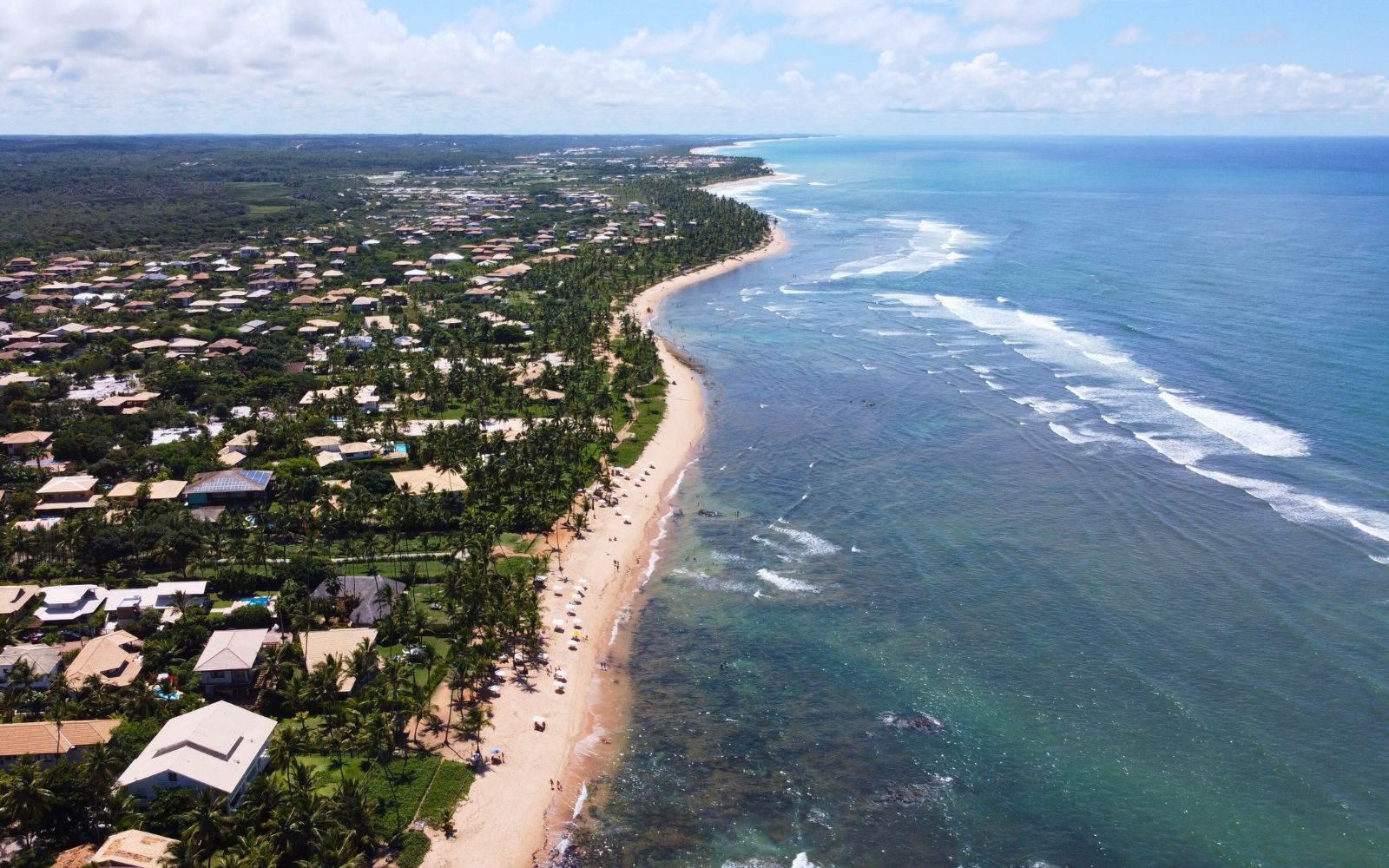 Praias preservadas: projetos brasileiros inspiram a conservação costeira