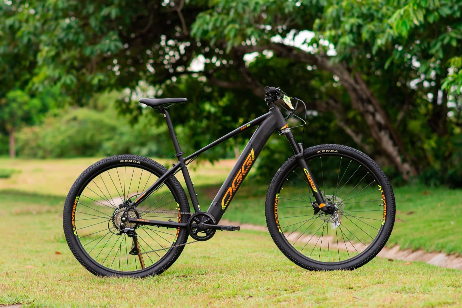 Uso de e-bikes já é uma realidade pelo mundo