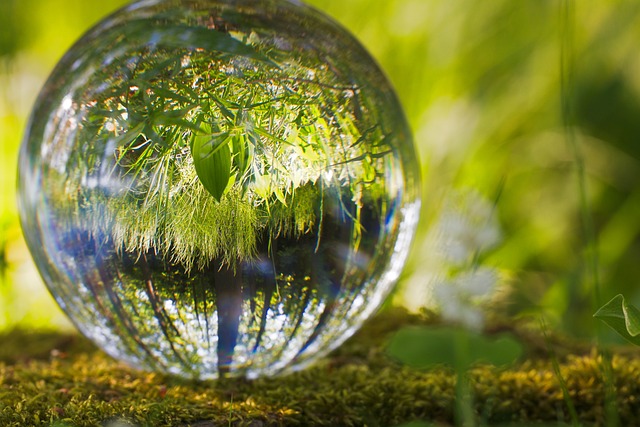 3 dicas para as empresas se adequarem às normas de sustentabilidade em 2025