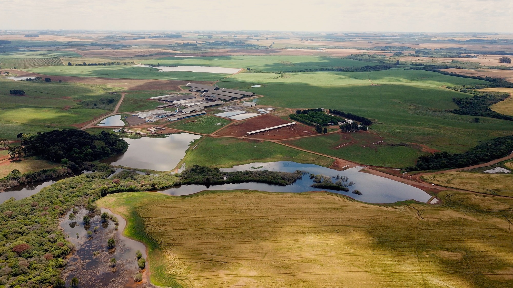 IA e sensores ajudam na estocagem e garantem o uso eficiente da água na irrigação - Fitec Tec News