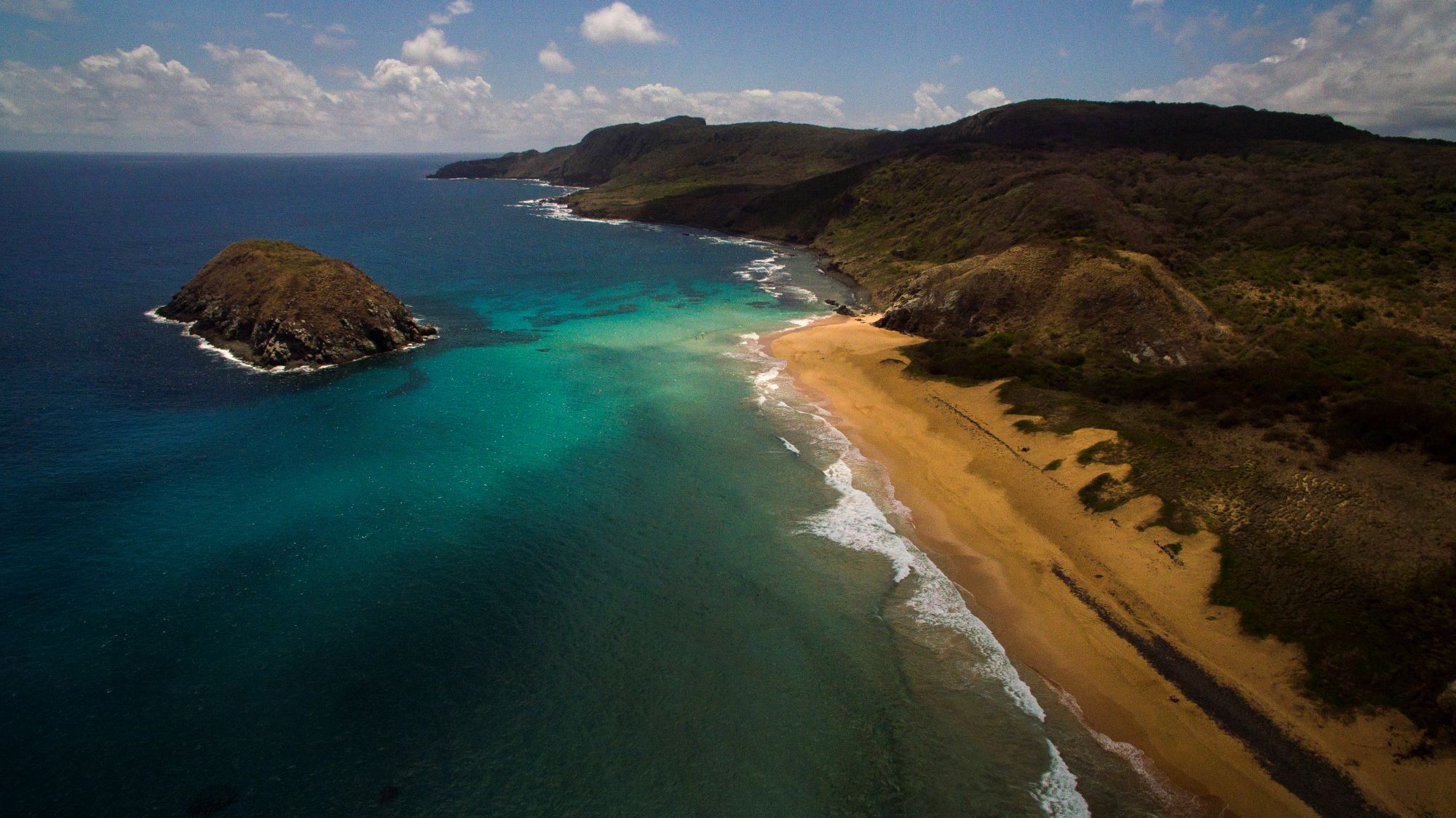 Do drone aos corais de proveta: a revolução tecnológica conserva a natureza no Brasil