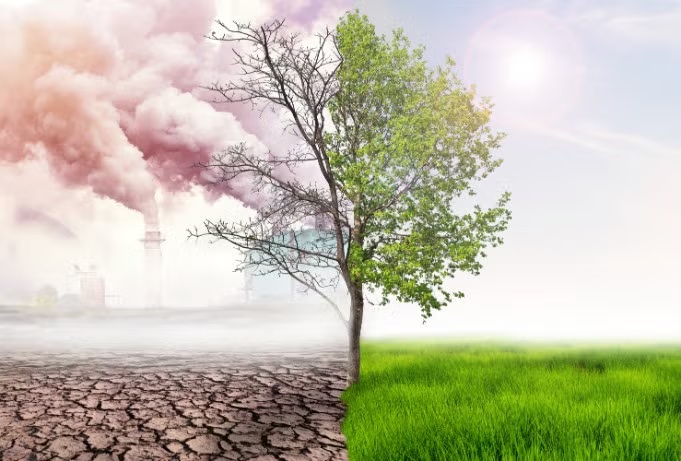 Especialistas opinam sobre novo regramento para o mercado de carbono no Brasil