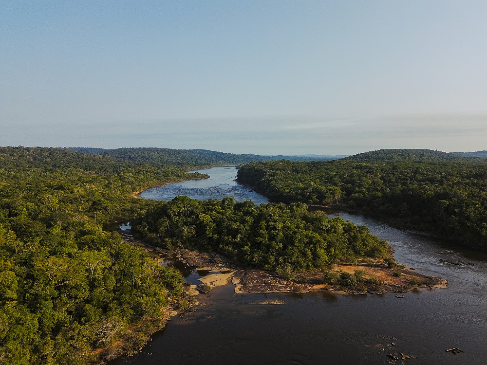 Estudos apontam crescimento de negociações e inovações no mercado de carbono