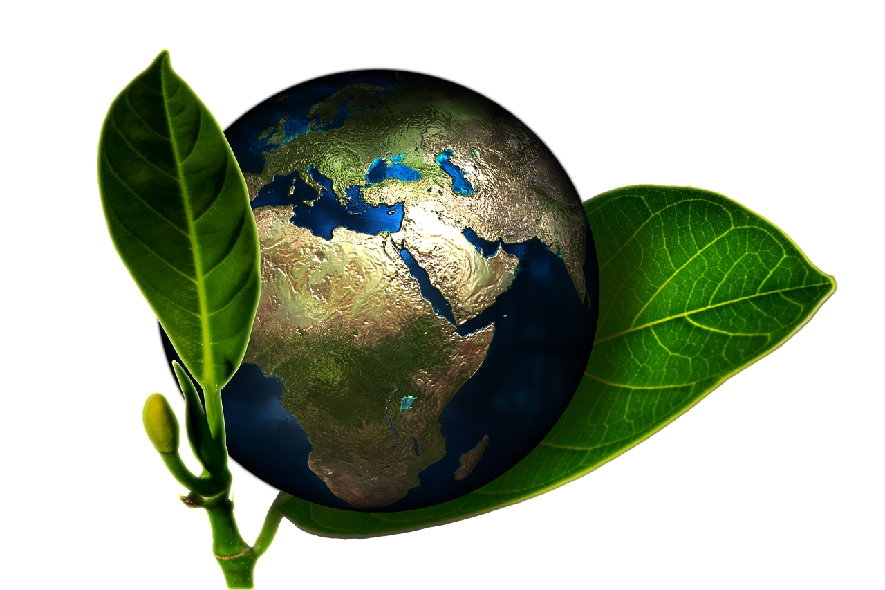Inovação verde: indústria brasileira acelera investimentos em sustentabilidade