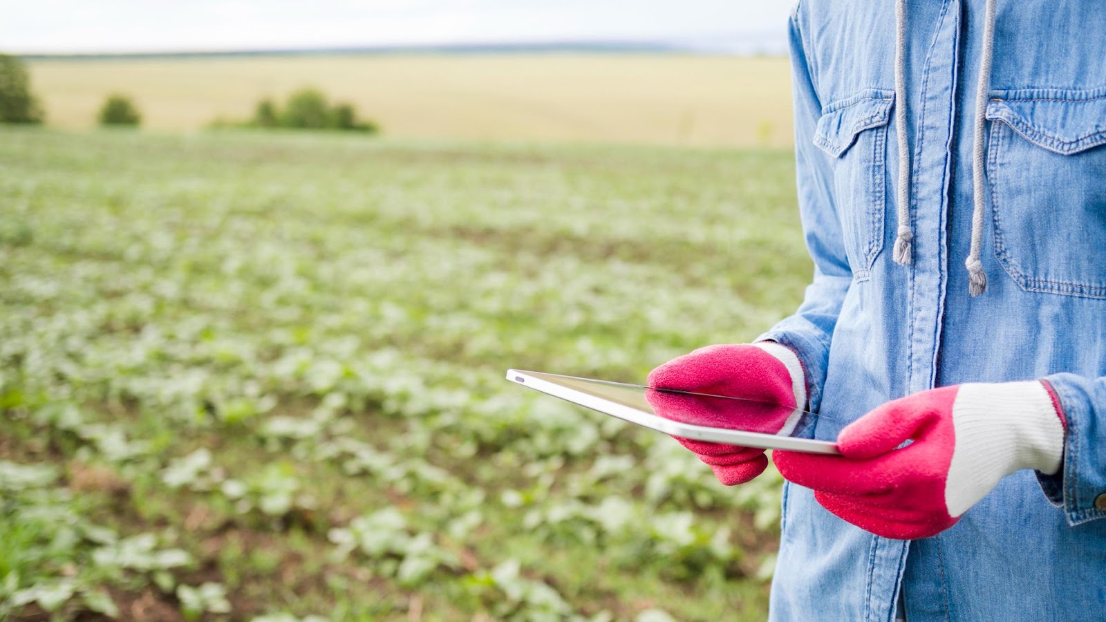 4 passos para o agro enfrentar as mudanças climáticas com a tecnologia