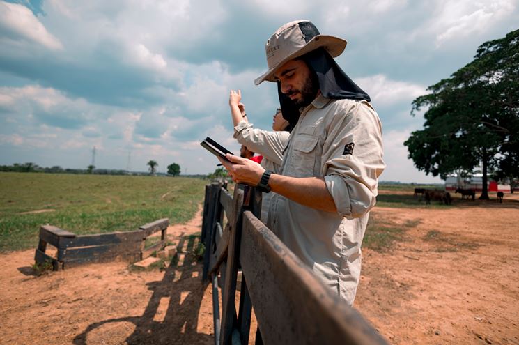 Cinco passos essenciais fazer um inventário de emissões de carbono preciso e eficiente
