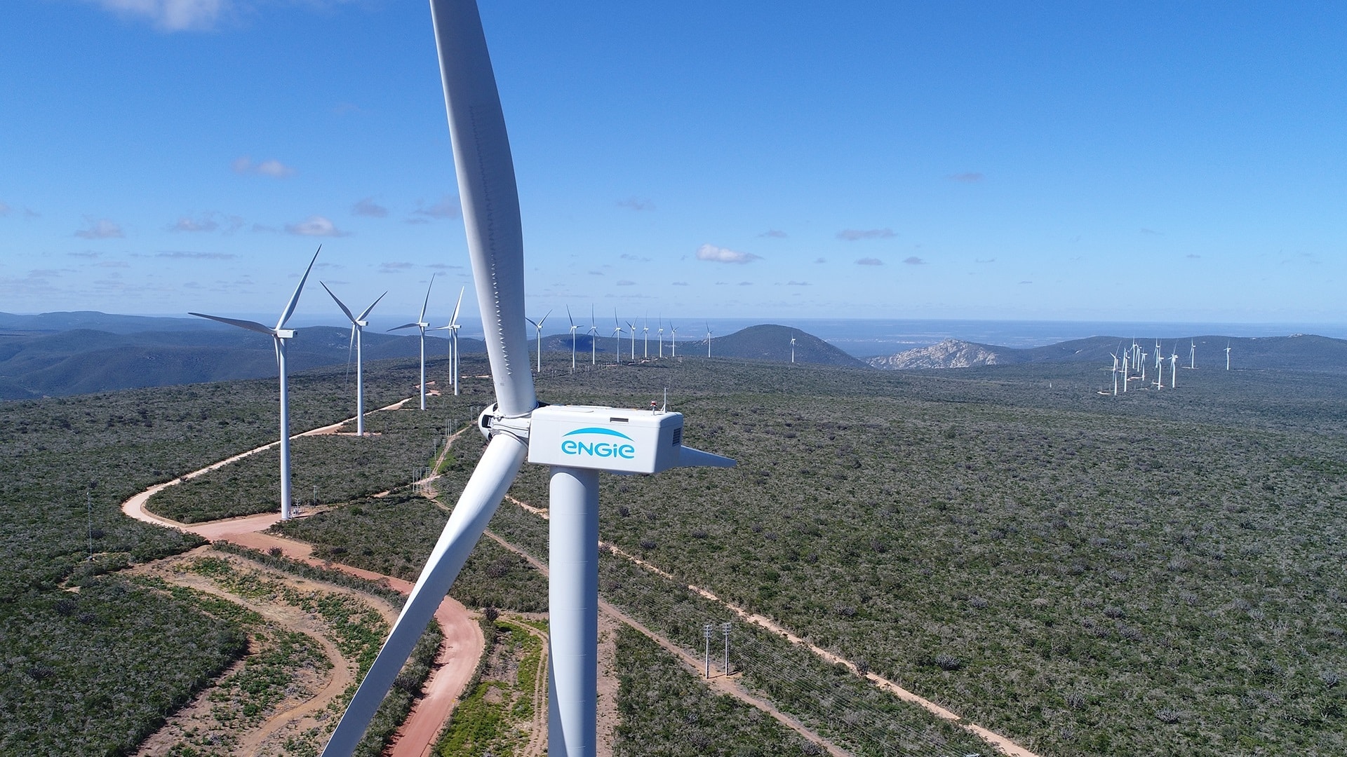 Empresas se destacam por soluções sustentáveis em avaliação do CDP