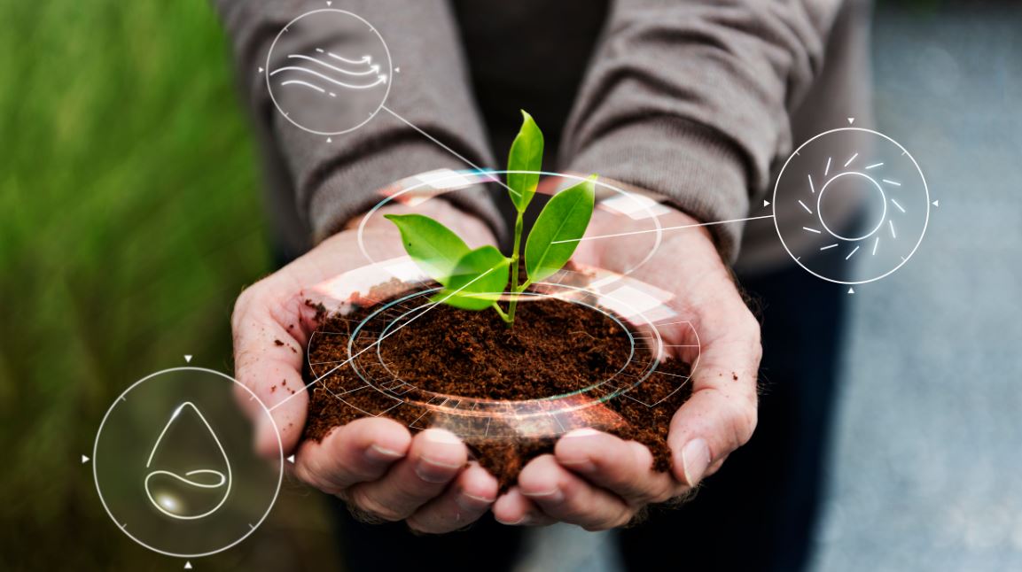 Mercado de carbono no Brasil: Uma nova era para o agronegócio