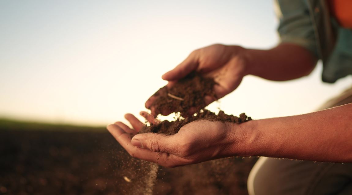 Abisolo reforça importância da conservação do solo para a sustentabilidade agrícola - Fitec Tec News