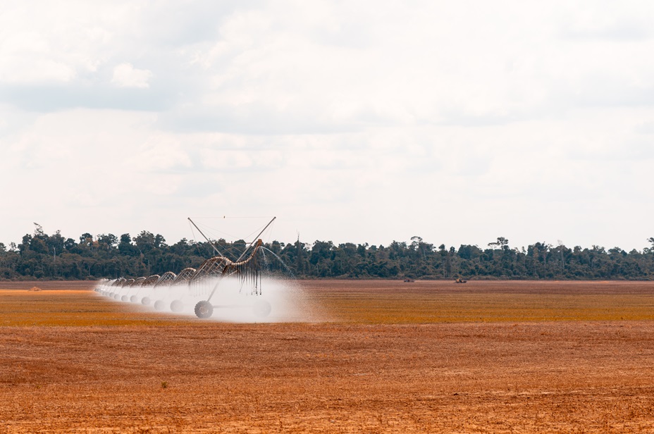 Nova Lei do Mercado de Carbono abre portas para produtores rurais