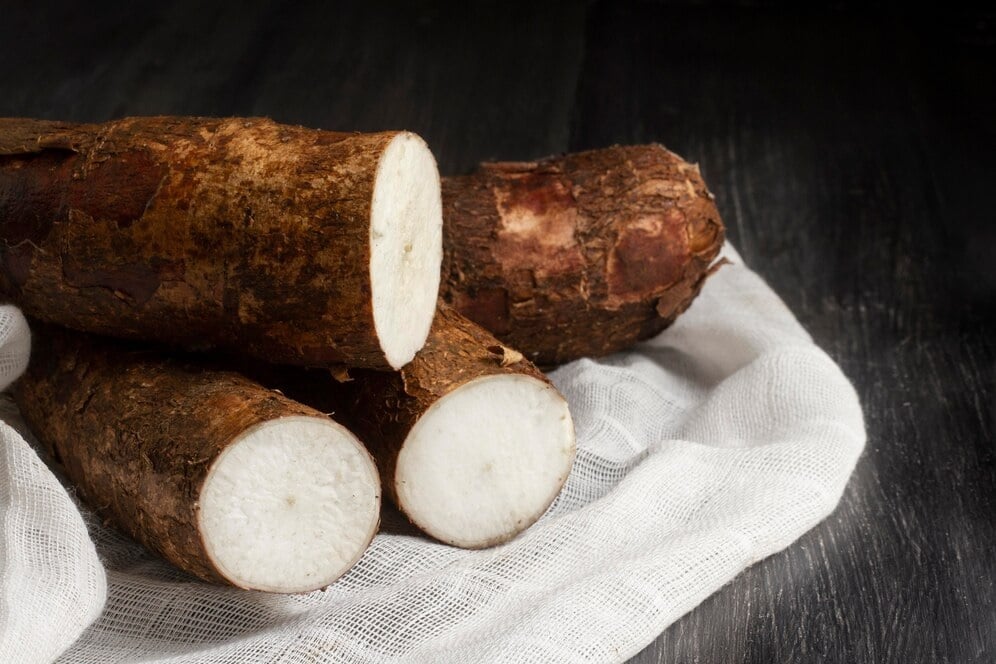 Cascas de alimentos são reaproveitadas na produção de insumos para biocombustíveis e fertilizantes orgânicos