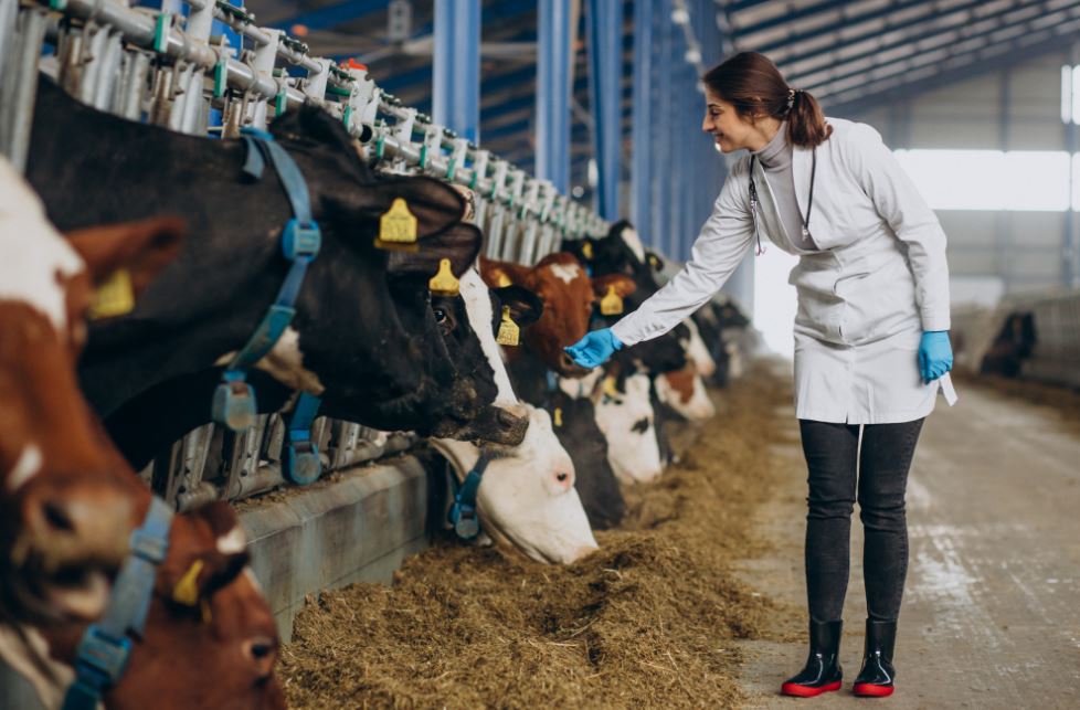 Saúde Animal lidera aliança pela Pecuária Sustentável de olho na COP30 - Fitec Tec News