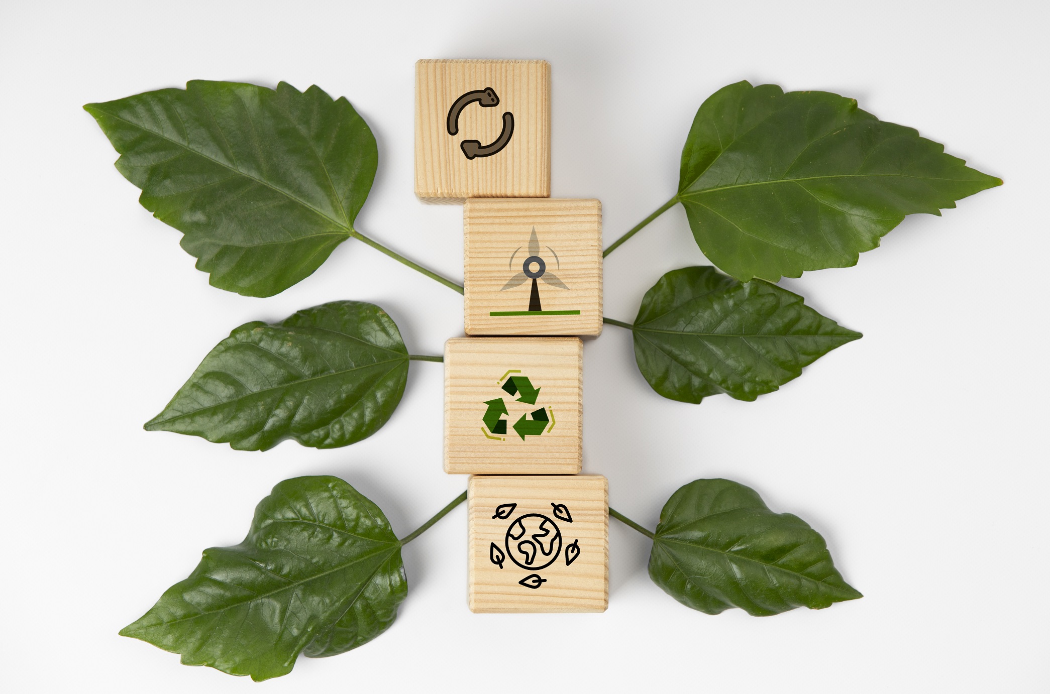 Divulgação de Relatórios de Sustentabilidade mensura, na prática, as ações ESG - Fitec Tec News