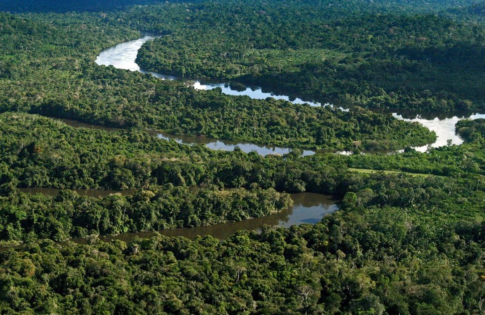 Brasil no centro do ESG: país pode se destacar no futuro da sustentabilidade global